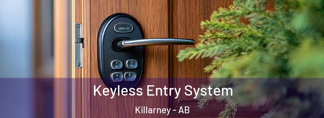  Keyless Entry System Killarney - AB