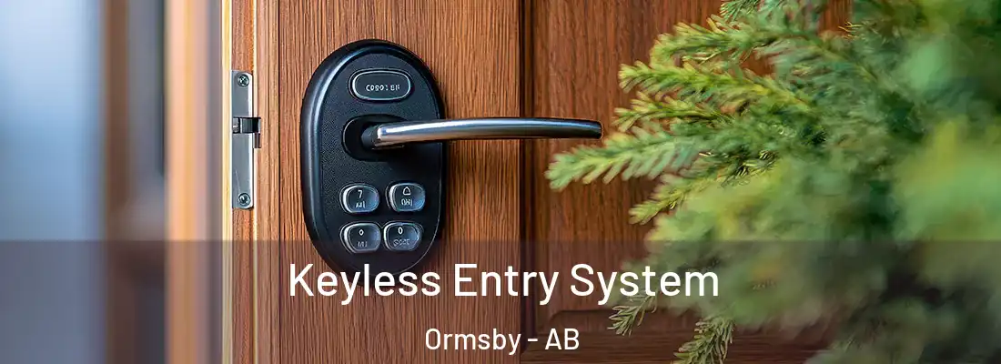  Keyless Entry System Ormsby - AB