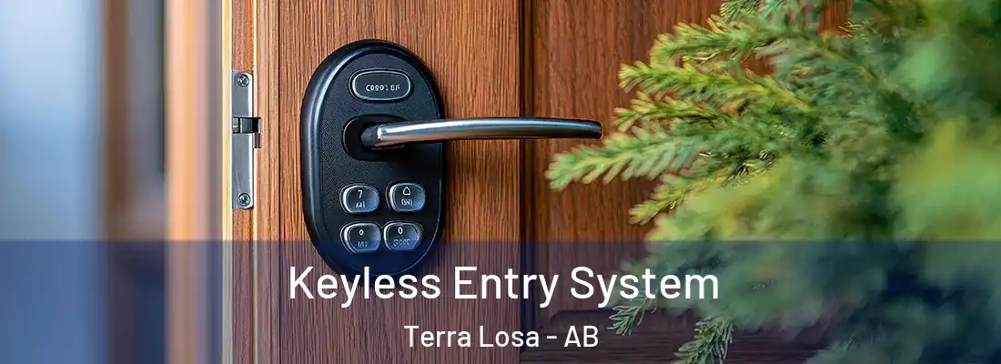  Keyless Entry System Terra Losa - AB