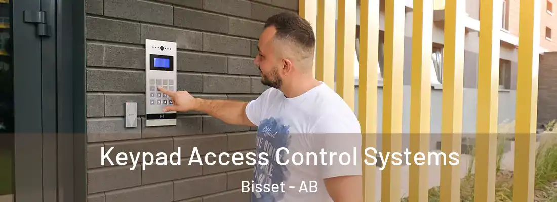  Keypad Access Control Systems Bisset - AB