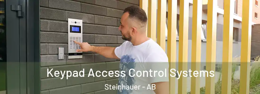  Keypad Access Control Systems Steinhauer - AB