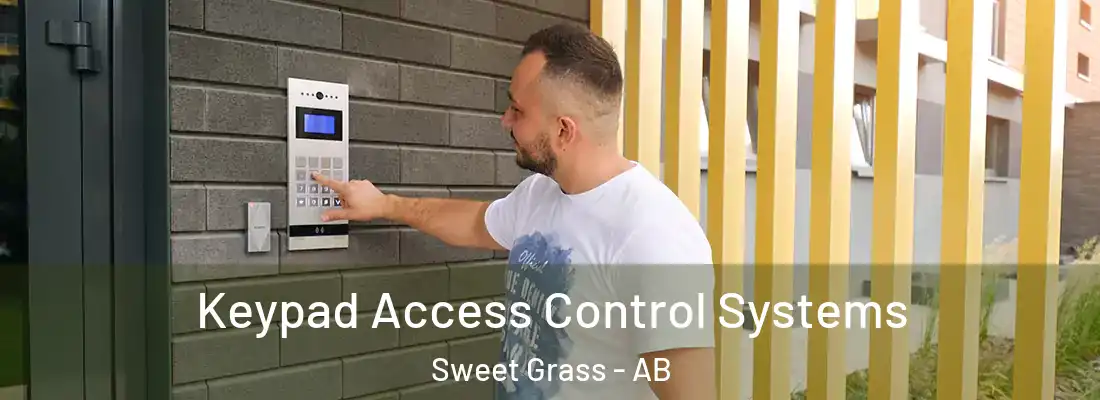  Keypad Access Control Systems Sweet Grass - AB