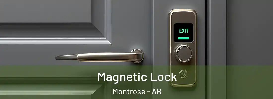  Magnetic Lock Montrose - AB