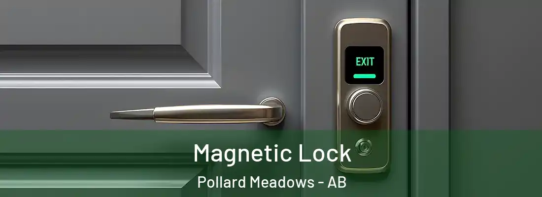  Magnetic Lock Pollard Meadows - AB