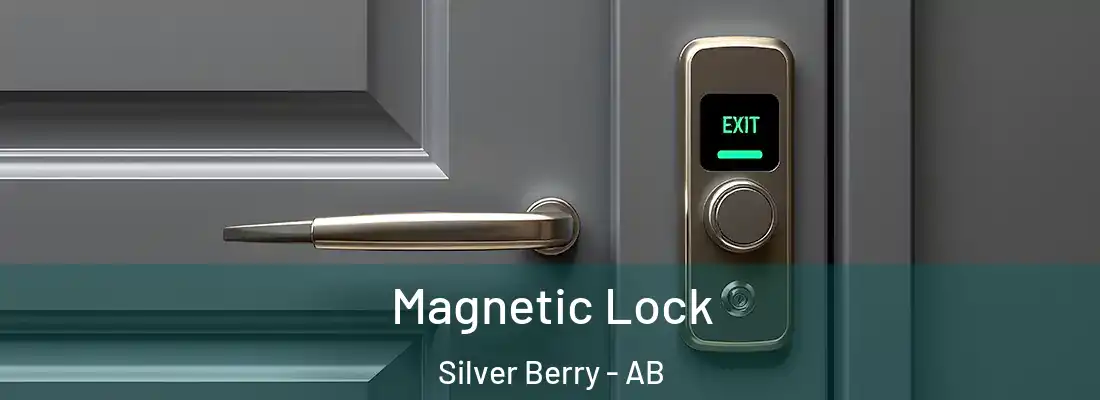  Magnetic Lock Silver Berry - AB