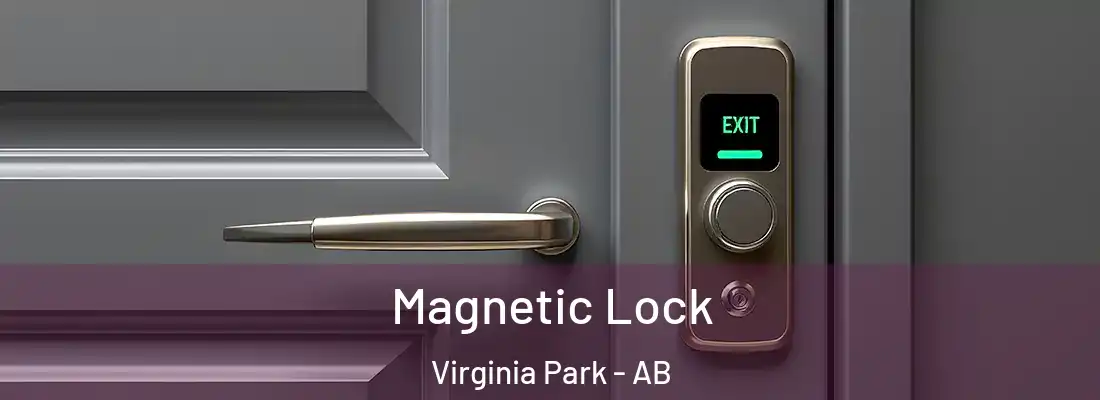  Magnetic Lock Virginia Park - AB