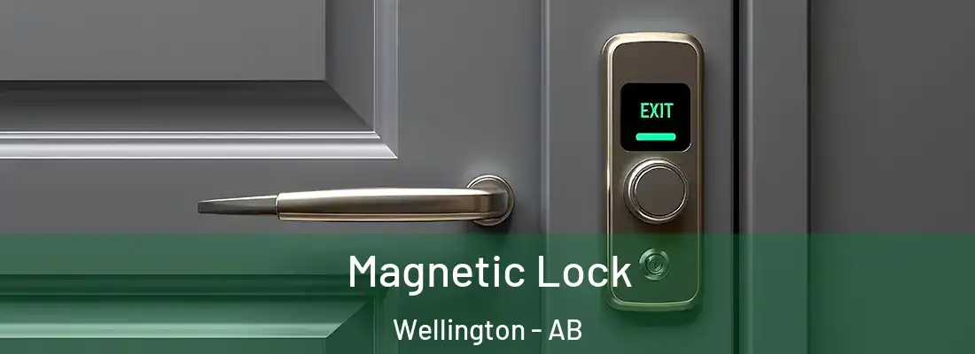  Magnetic Lock Wellington - AB