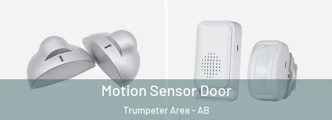  Motion Sensor Door Trumpeter Area - AB