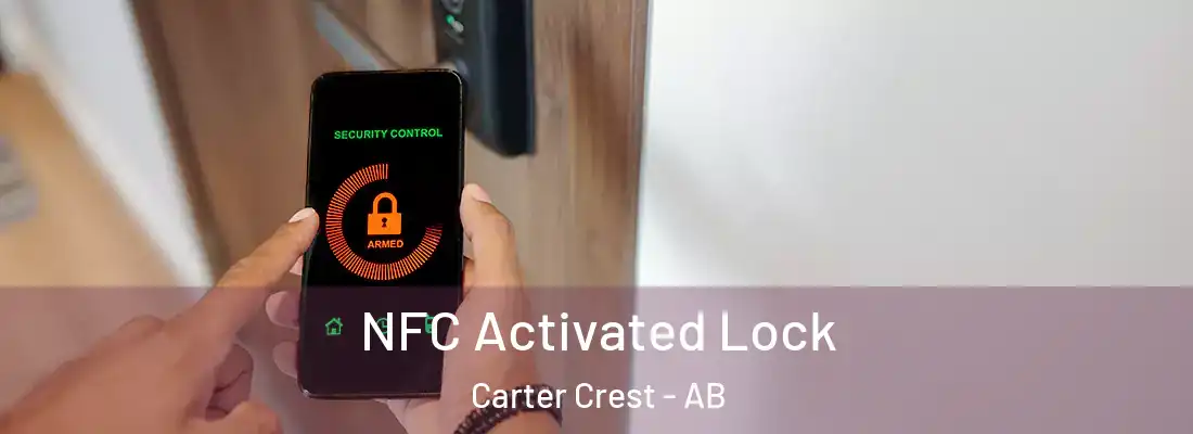  NFC Activated Lock Carter Crest - AB