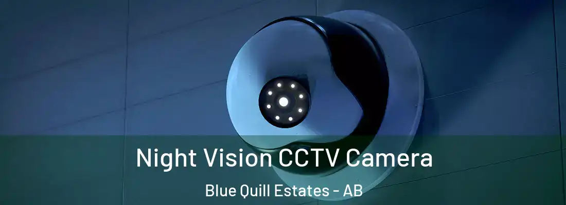 Night Vision CCTV Camera Blue Quill Estates - AB