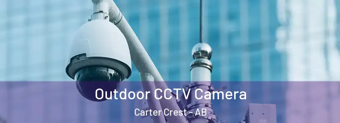  Outdoor CCTV Camera Carter Crest - AB