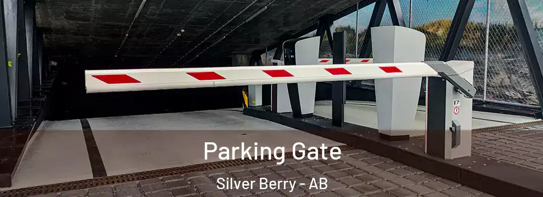 Parking Gate Silver Berry - AB