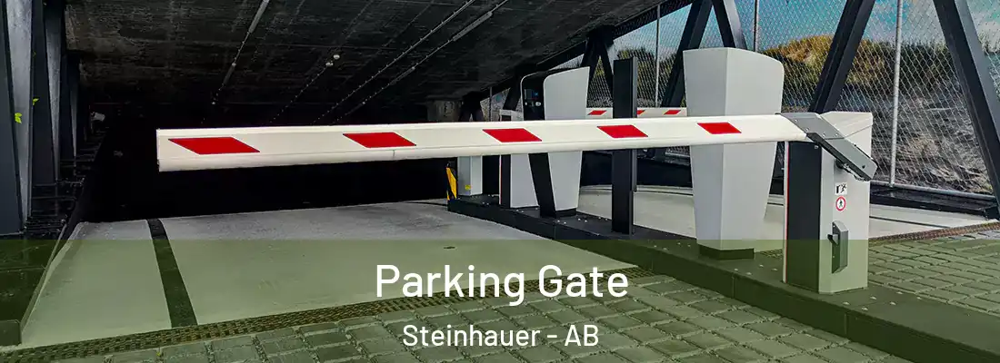  Parking Gate Steinhauer - AB