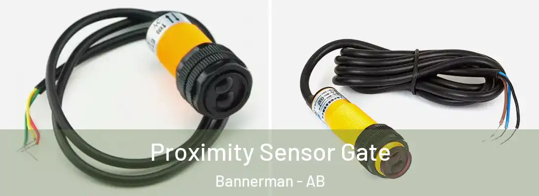  Proximity Sensor Gate Bannerman - AB