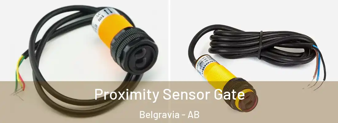  Proximity Sensor Gate Belgravia - AB