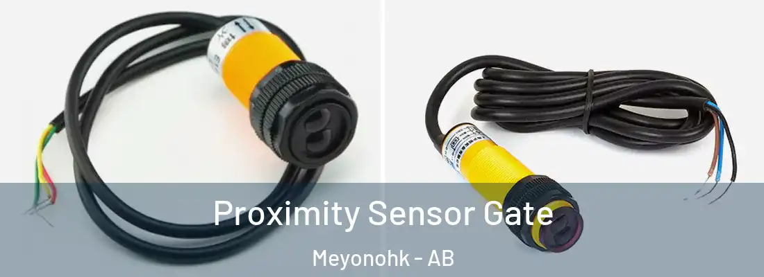  Proximity Sensor Gate Meyonohk - AB