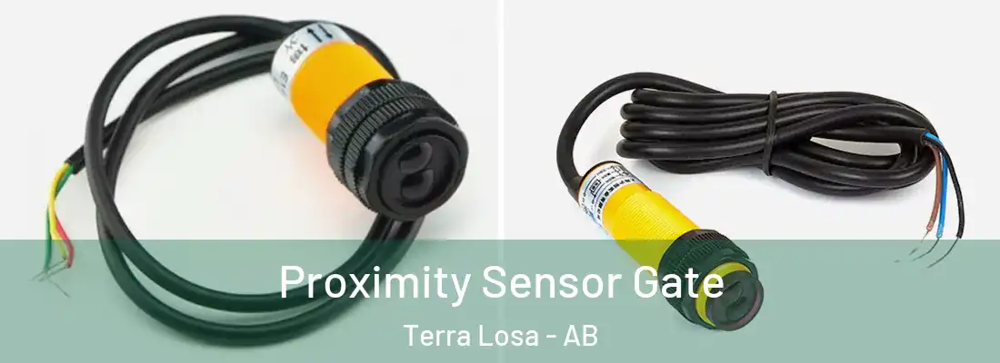  Proximity Sensor Gate Terra Losa - AB