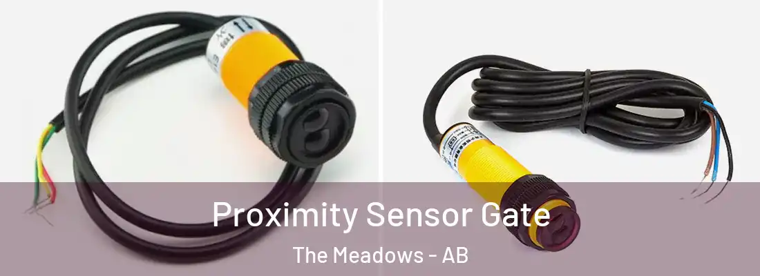  Proximity Sensor Gate The Meadows - AB