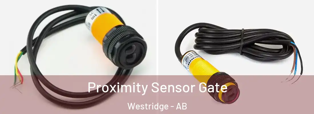  Proximity Sensor Gate Westridge - AB