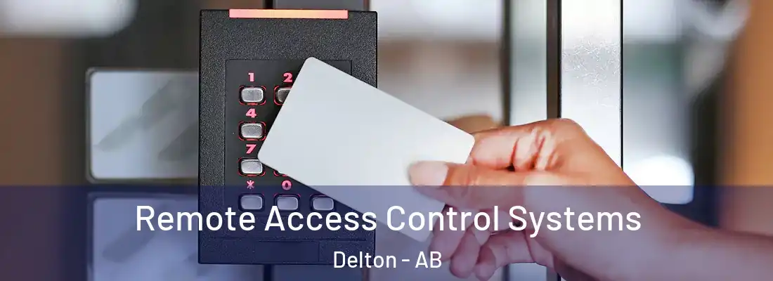  Remote Access Control Systems Delton - AB