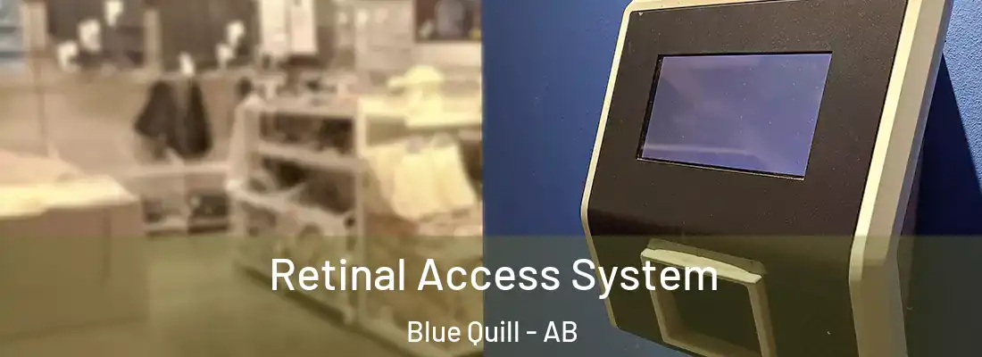  Retinal Access System Blue Quill - AB
