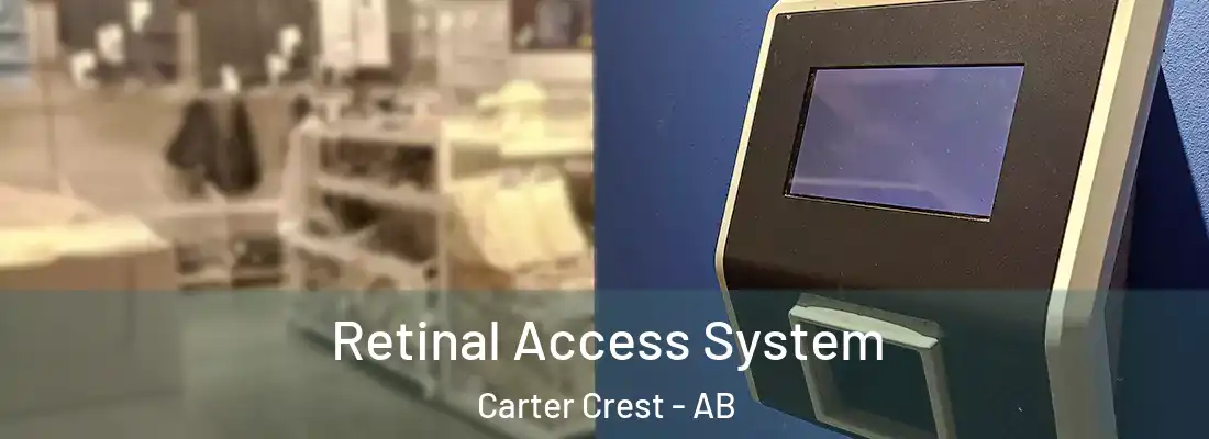 Retinal Access System Carter Crest - AB