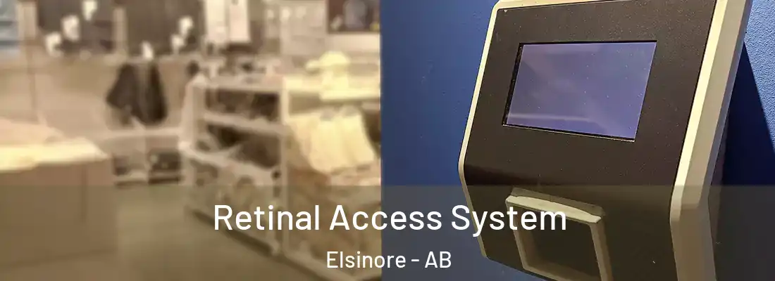  Retinal Access System Elsinore - AB