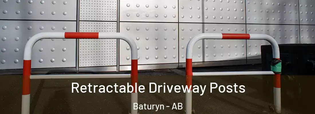  Retractable Driveway Posts Baturyn - AB