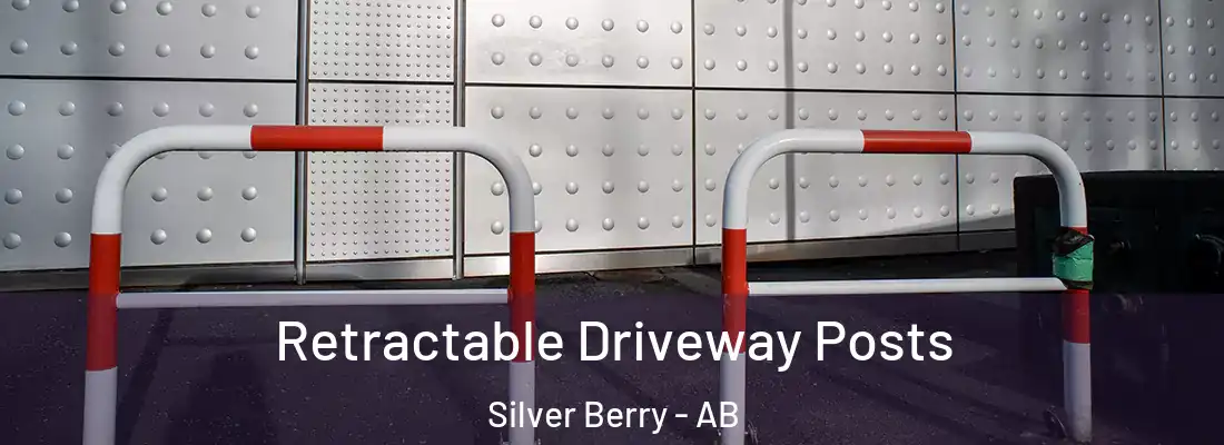  Retractable Driveway Posts Silver Berry - AB