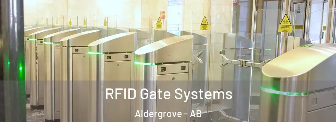  RFID Gate Systems Aldergrove - AB