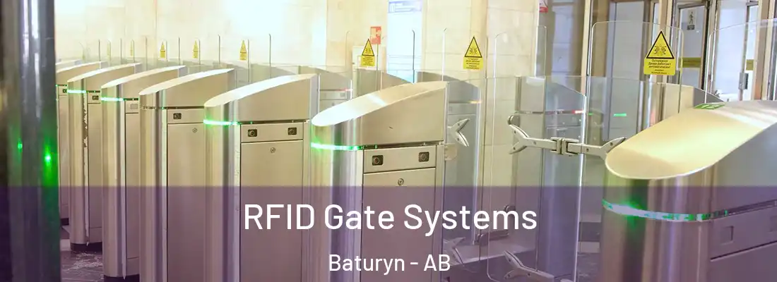  RFID Gate Systems Baturyn - AB
