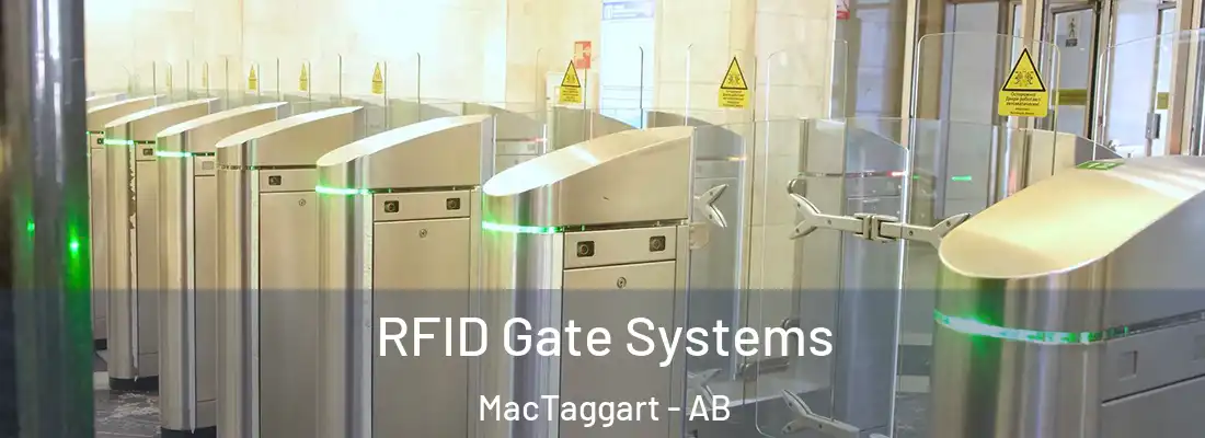  RFID Gate Systems MacTaggart - AB