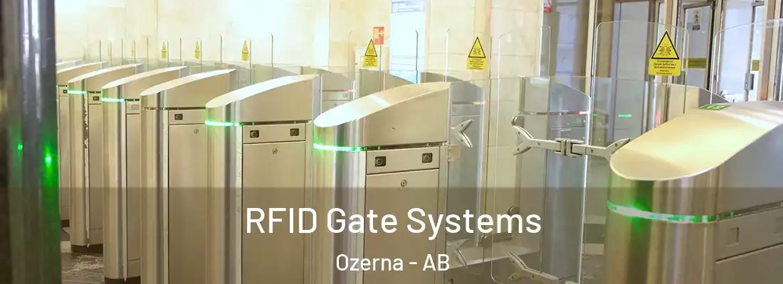  RFID Gate Systems Ozerna - AB