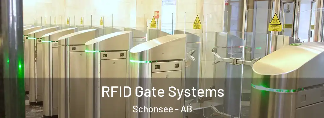  RFID Gate Systems Schonsee - AB