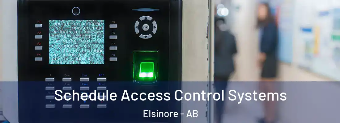  Schedule Access Control Systems Elsinore - AB