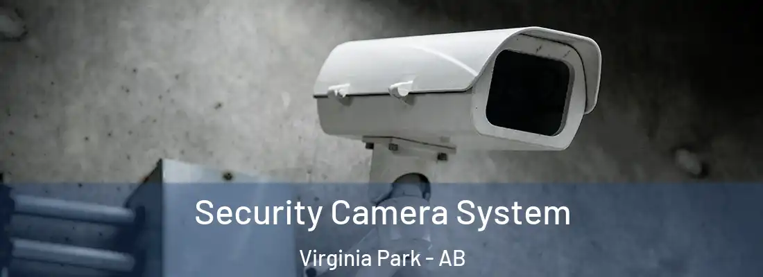  Security Camera System Virginia Park - AB