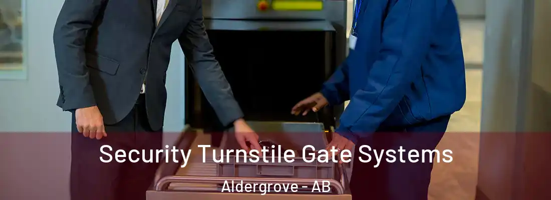 Security Turnstile Gate Systems Aldergrove - AB