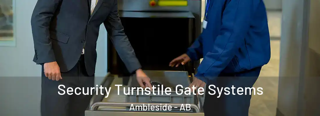  Security Turnstile Gate Systems Ambleside - AB