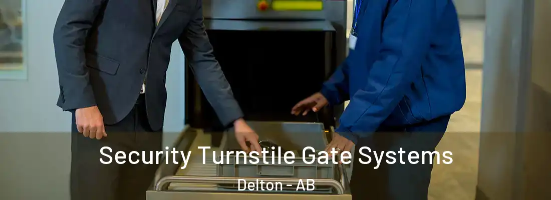  Security Turnstile Gate Systems Delton - AB