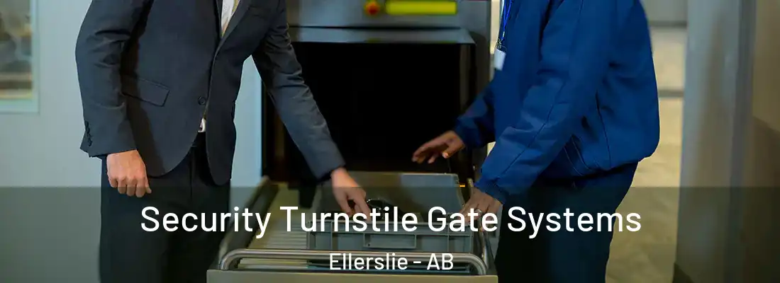  Security Turnstile Gate Systems Ellerslie - AB