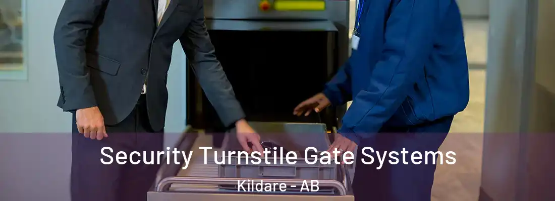  Security Turnstile Gate Systems Kildare - AB