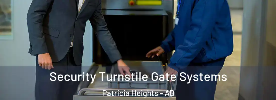  Security Turnstile Gate Systems Patricia Heights - AB