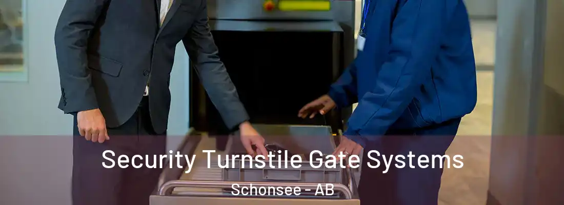  Security Turnstile Gate Systems Schonsee - AB