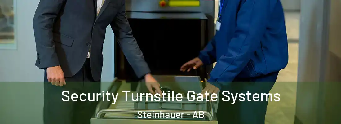  Security Turnstile Gate Systems Steinhauer - AB