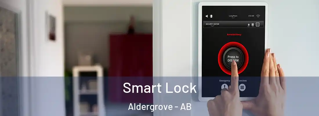  Smart Lock Aldergrove - AB
