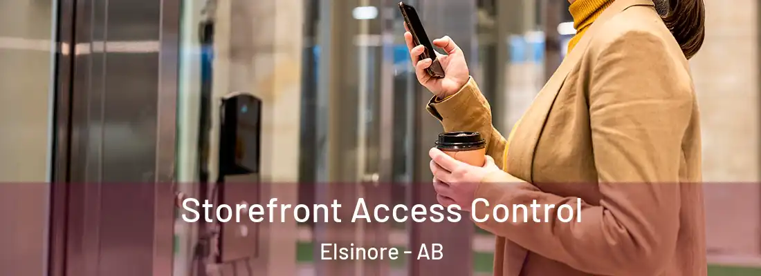  Storefront Access Control Elsinore - AB