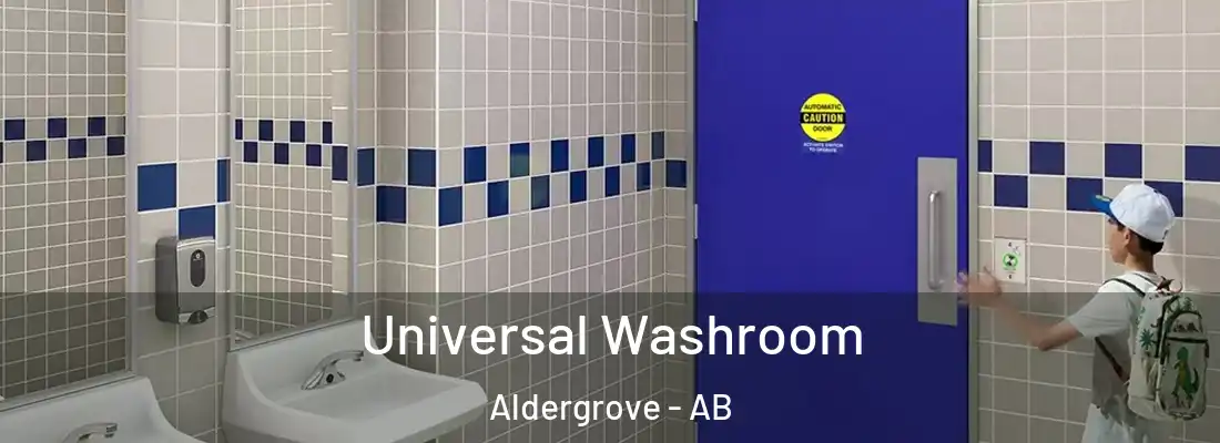  Universal Washroom Aldergrove - AB