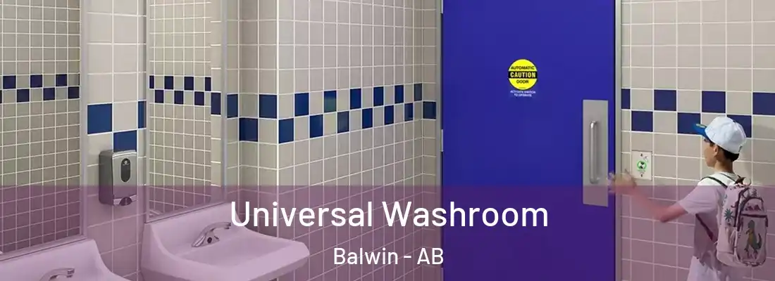  Universal Washroom Balwin - AB