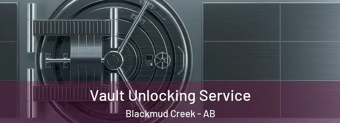  Vault Unlocking Service Blackmud Creek - AB