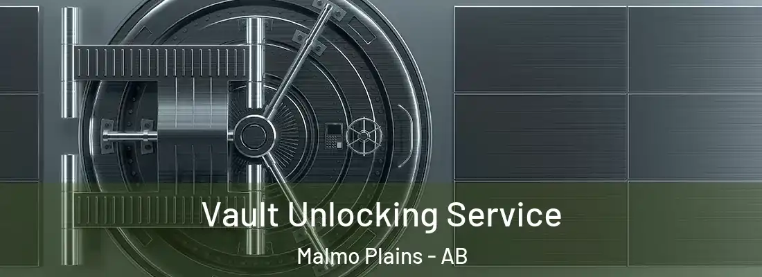  Vault Unlocking Service Malmo Plains - AB